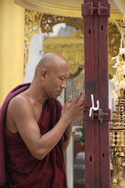 缅甸僧侣,shwedagon,仰光