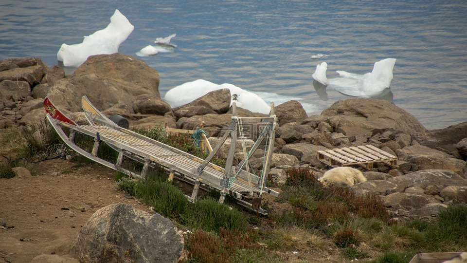 雪橇,狗拉雪橇,格陵兰岛