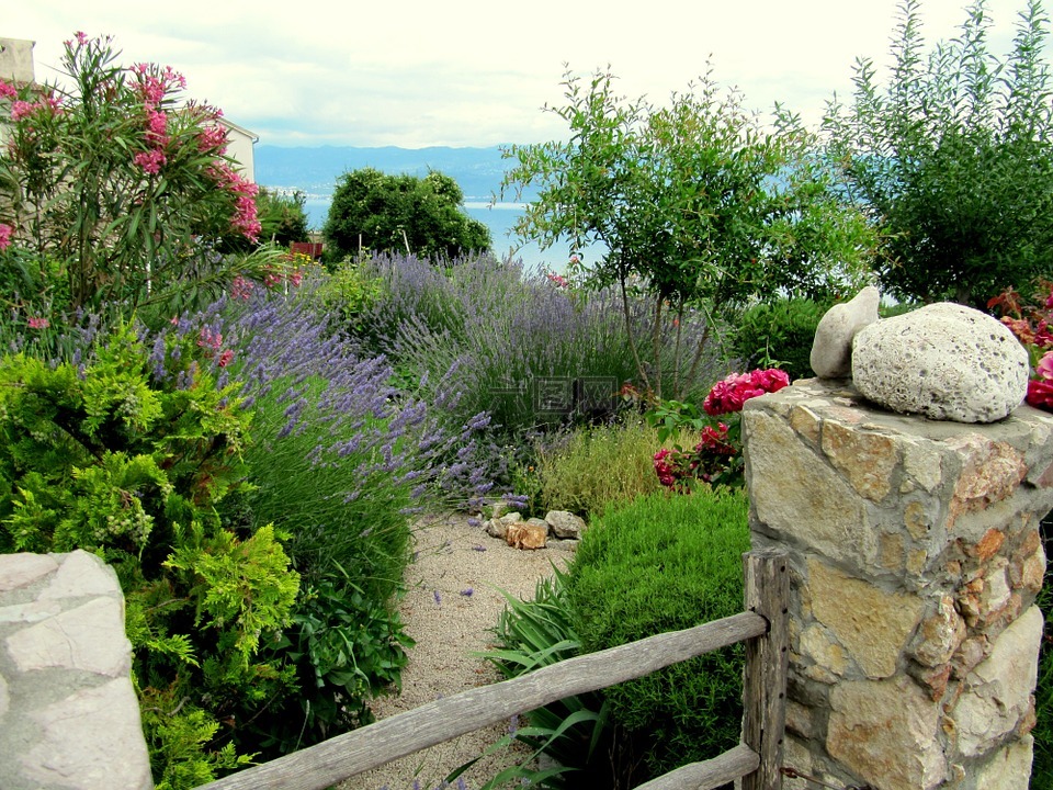 地中海,石,花园