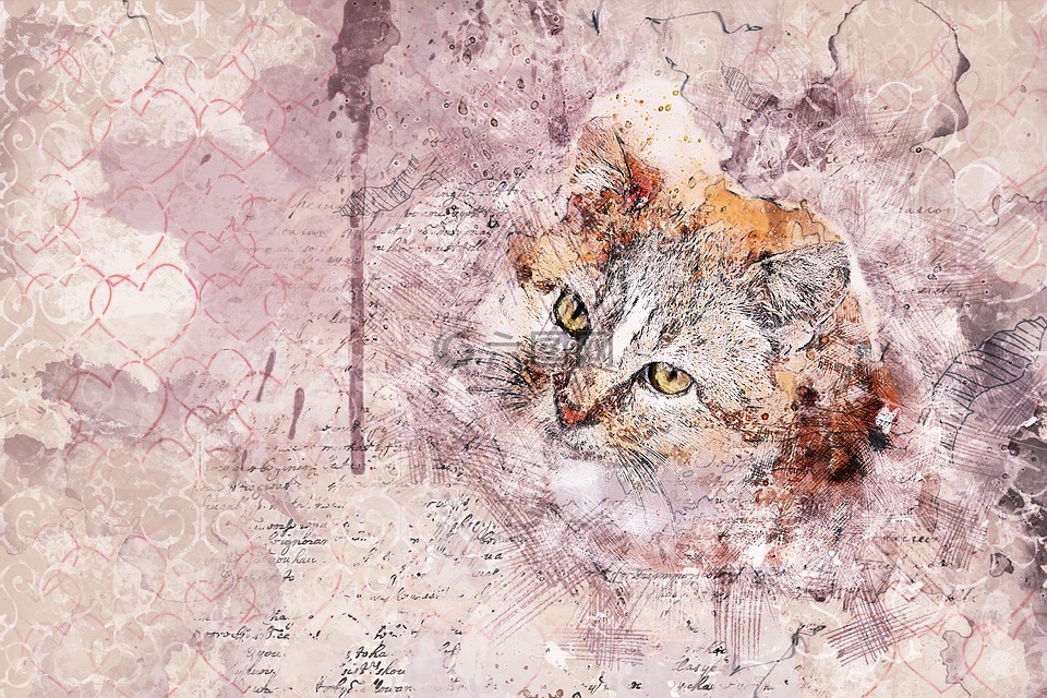 猫,艺术,抽象