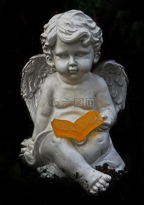 天使,翼,本书