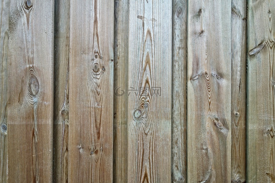 墙,木材,板