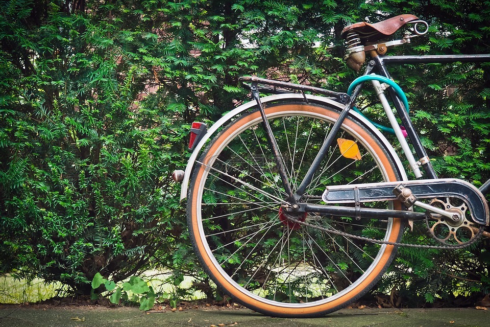 自行车,老,轮