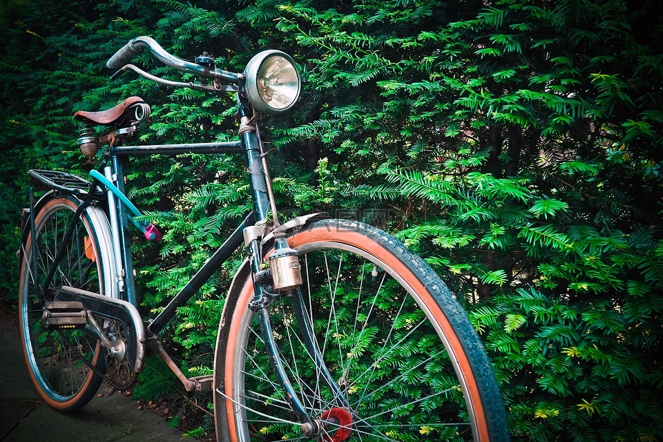 自行车,老,轮