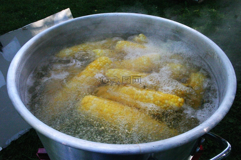 玉米,沸腾,蔬菜