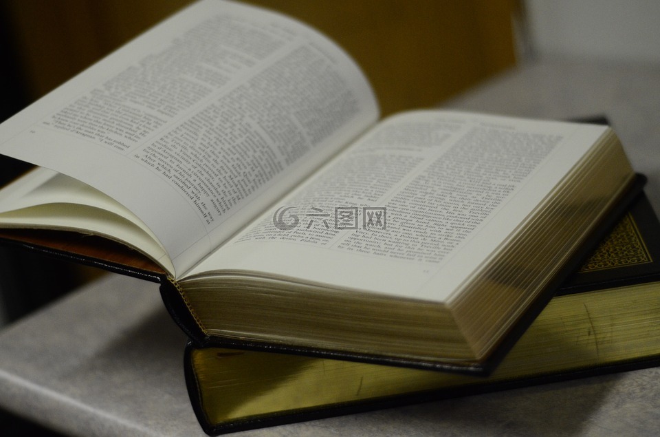 书,本打开的书,阅读