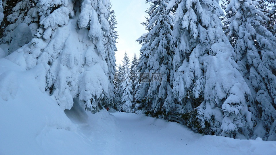 穷乡僻壤skiiing,冬天,雪