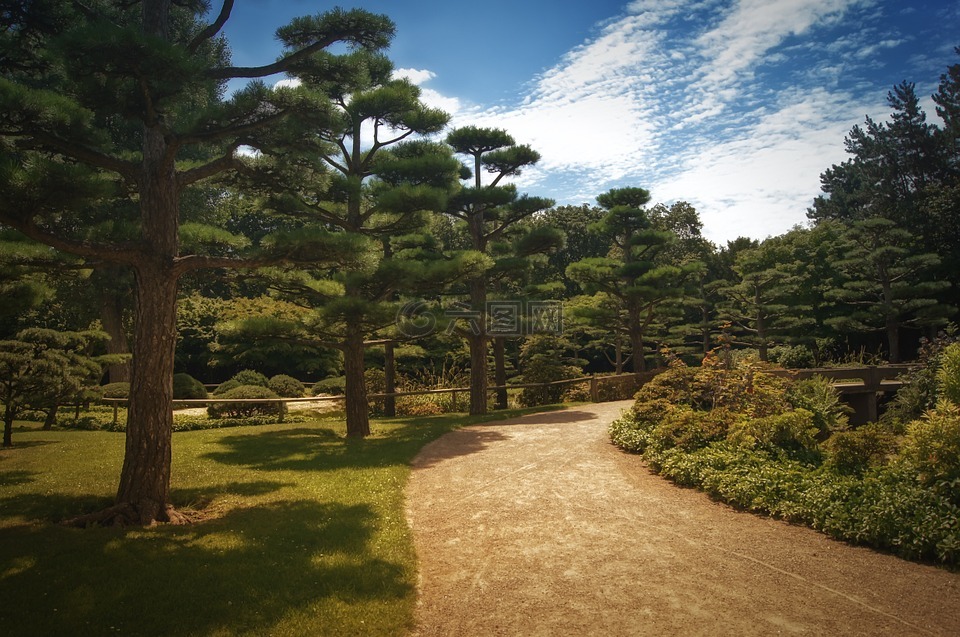 背景,日本花园,离