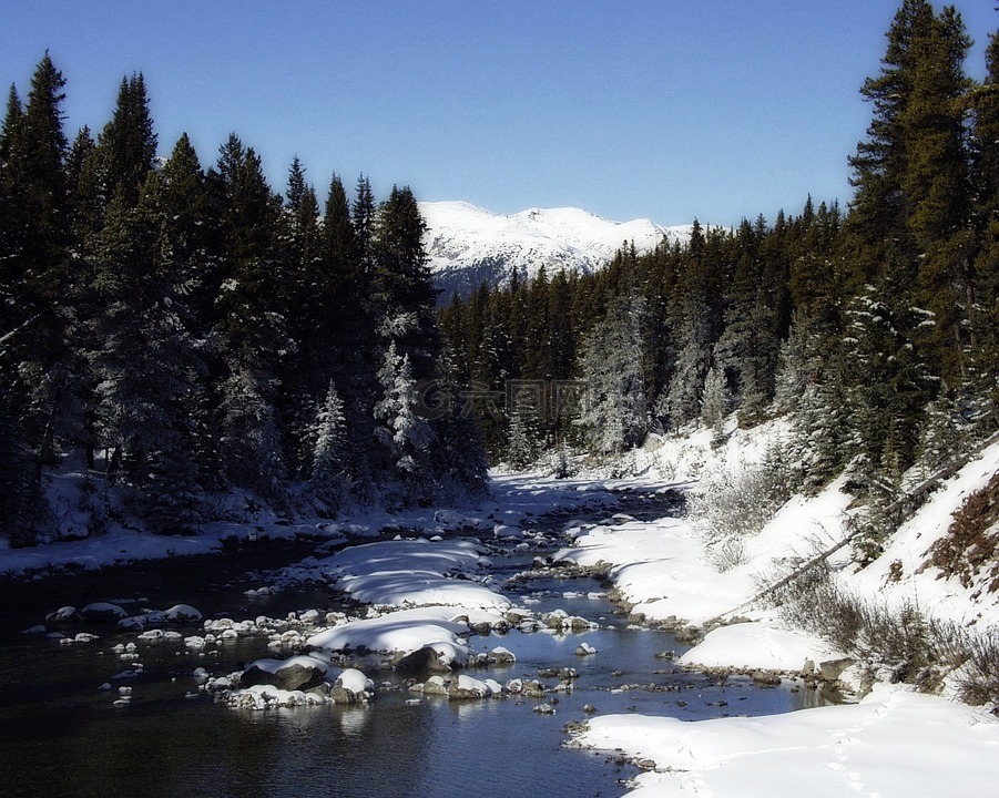 canadien rockys,河,冬天