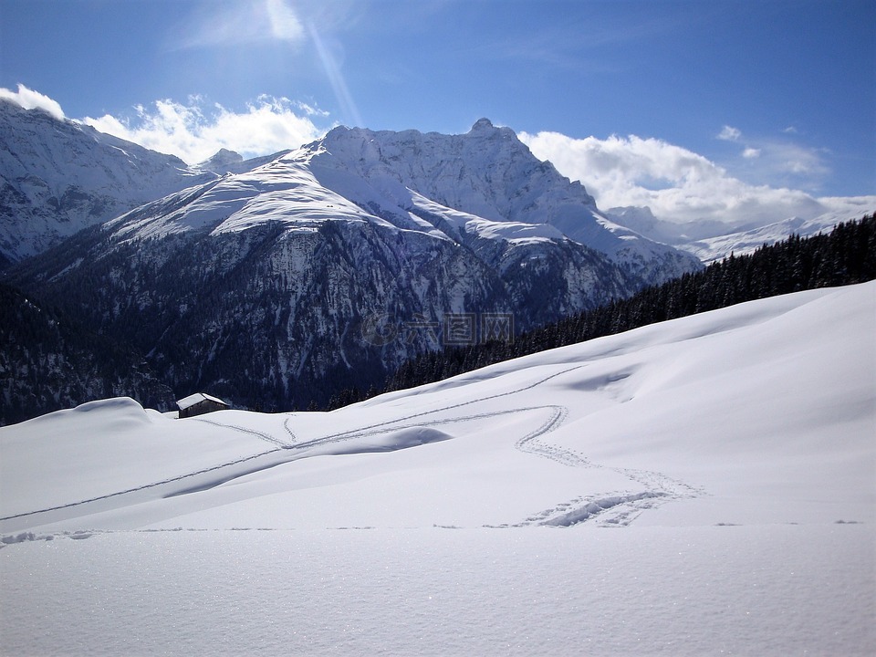 雪,山,冬天