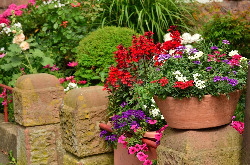 夏季鲜花,阳台植物,花盆