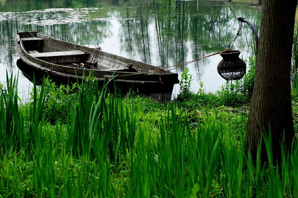 湿地,木船,渔