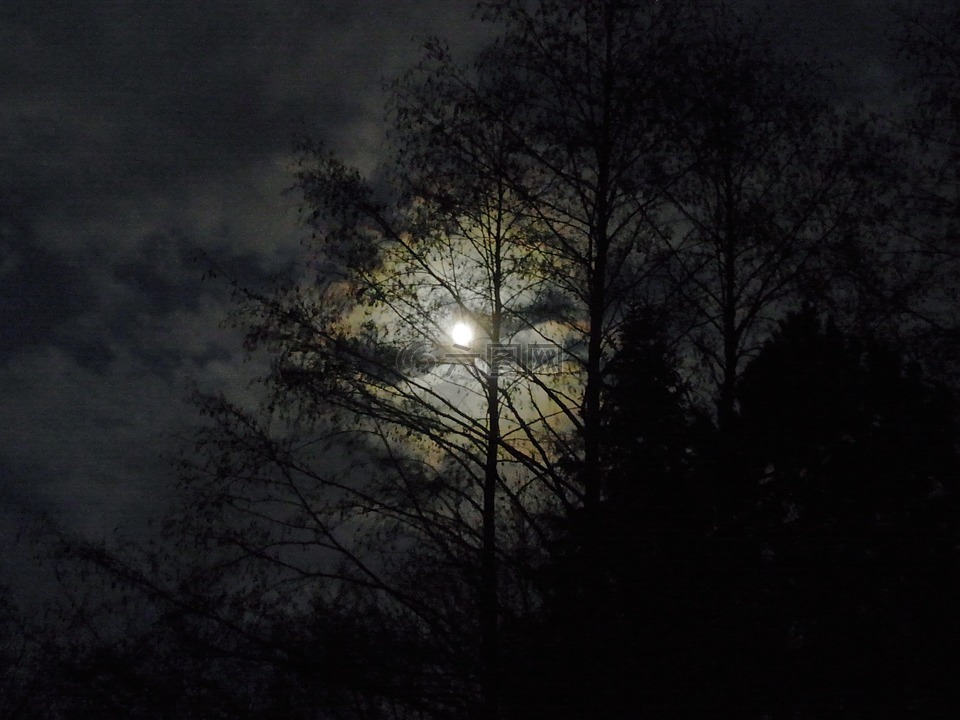 月球,在晚上,月光
