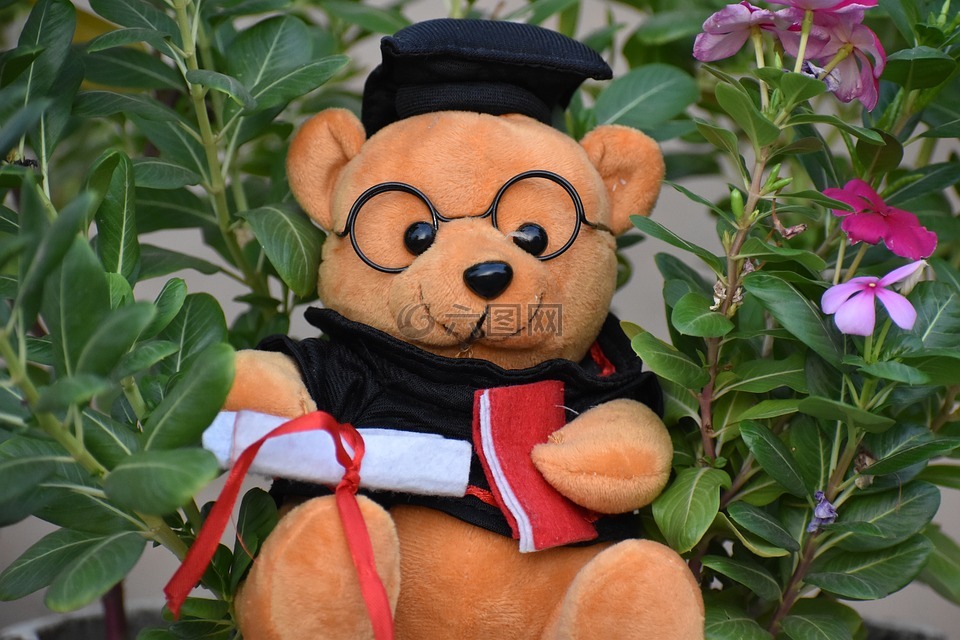 毕业,玩具熊,礼物