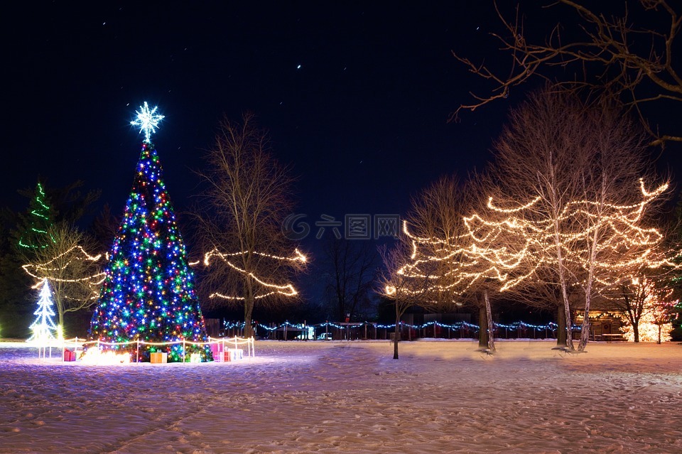 圣诞小镇,圣诞树,冬天