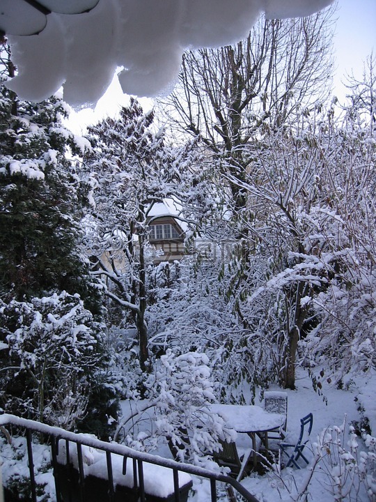 雪,冷,房子