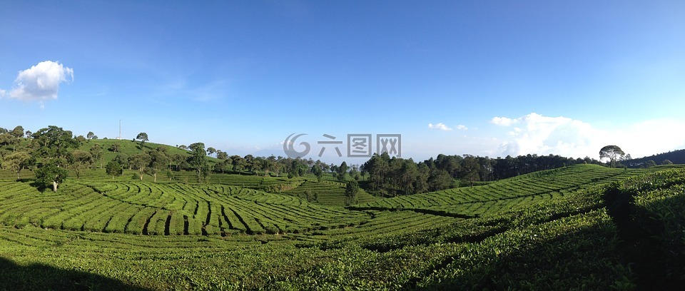 茶人谷,万隆,印度尼西亚