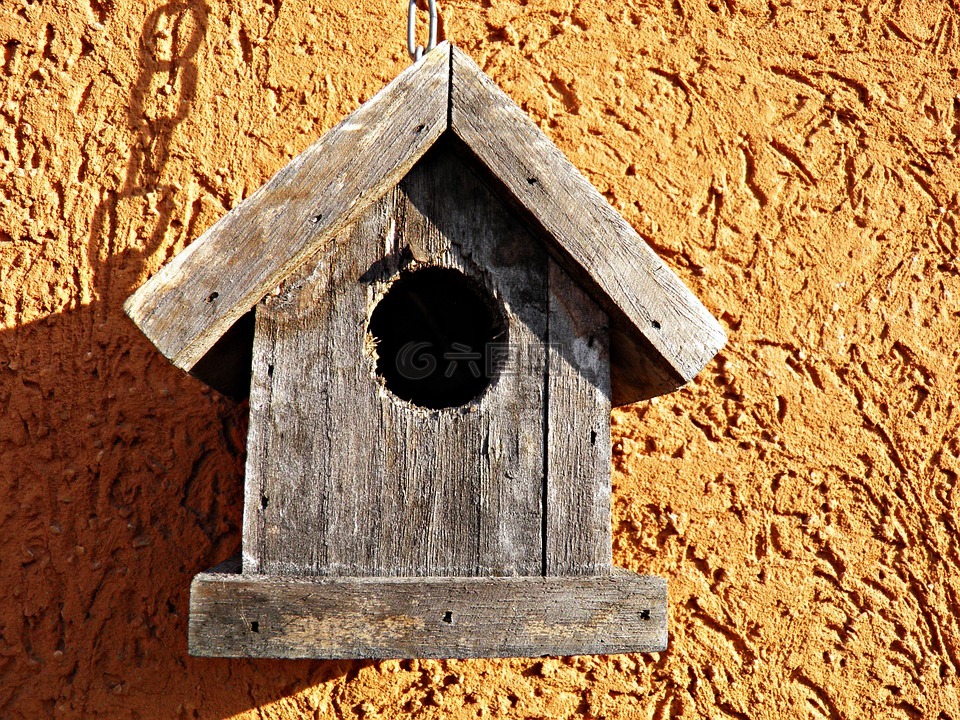 鸟的房子,木,房子