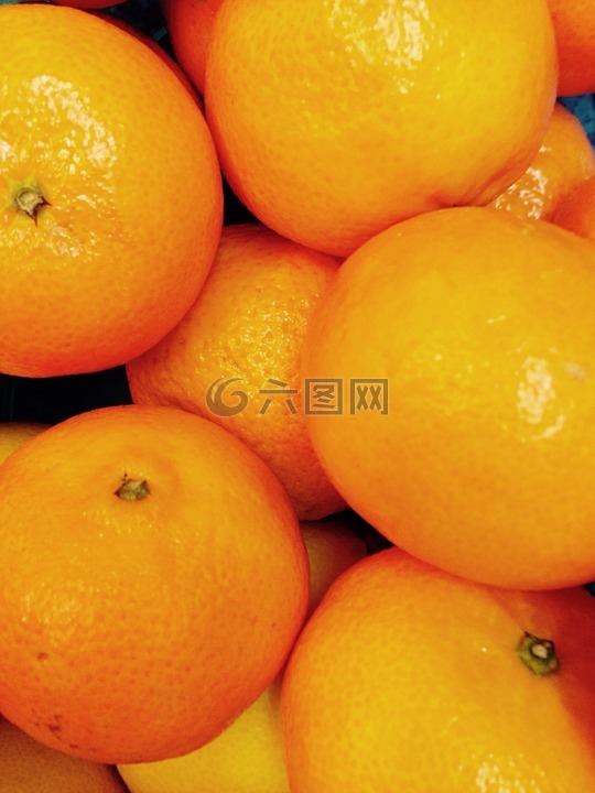普通话,水果,柑橘类水果