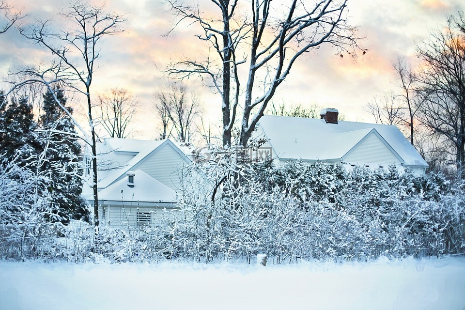 雪,冬天,房子