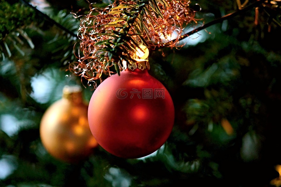 圣诞球,树,圣诞节