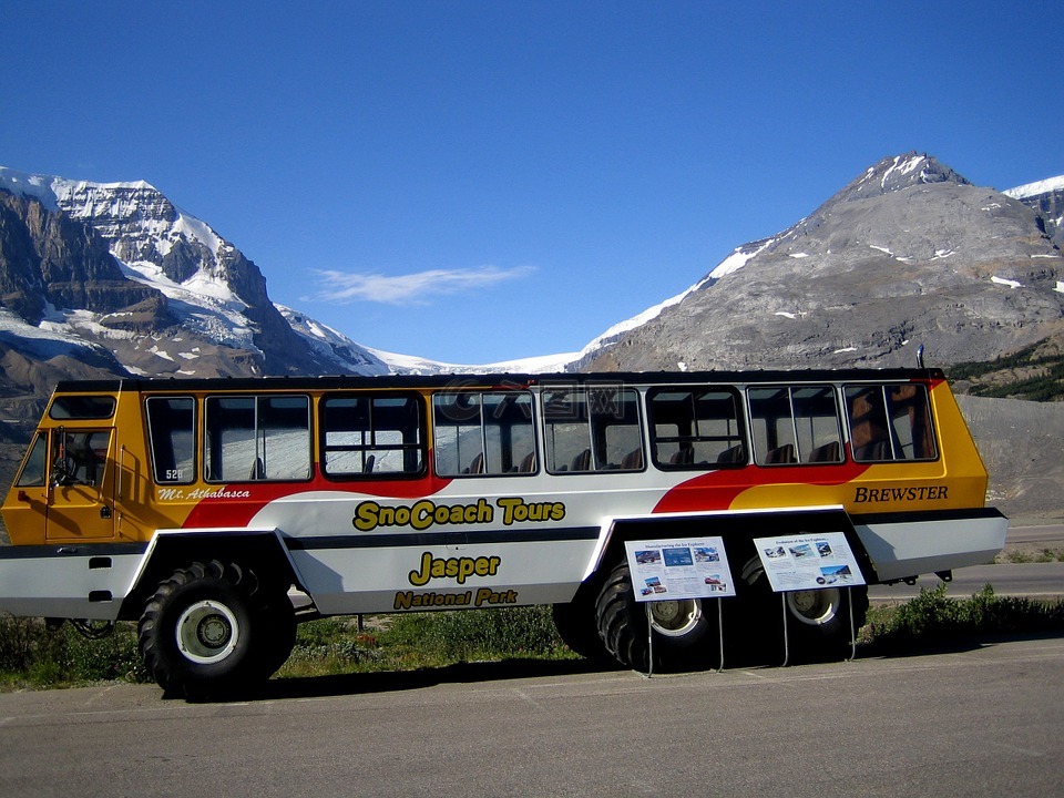 阿萨巴斯卡冰川,观光巴士,交通