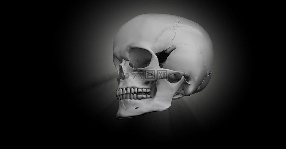 头骸骨图片 头骸骨素材 头骸骨模板免费下载 六图网