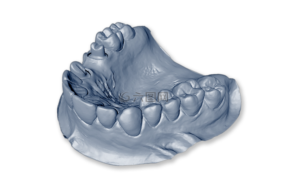 孤立,牙齿模型,下颚