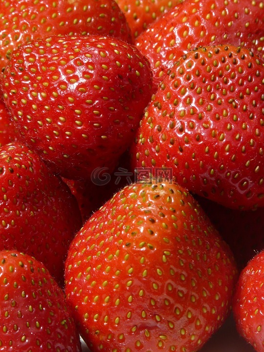 草莓,圆润的,红色