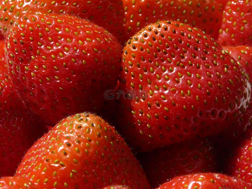 草莓,圆润的,红色