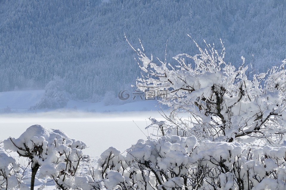 雪,冬天,冷