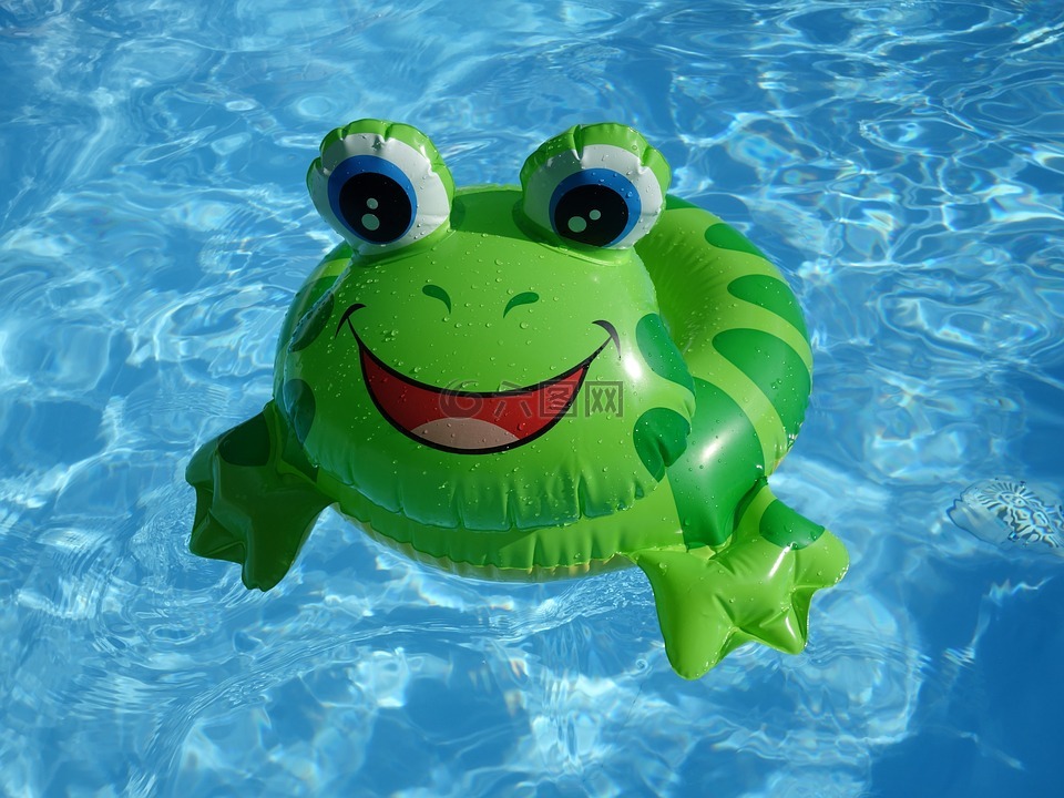 青蛙,浮动,塑料