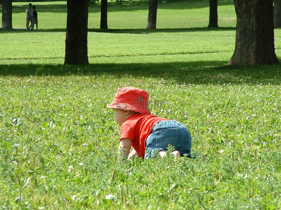 草,儿童,公园