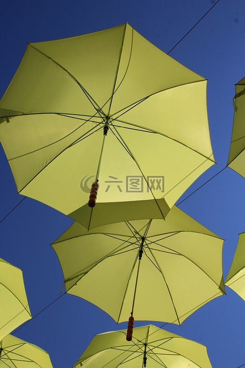 伞,山丹丹,街道装饰