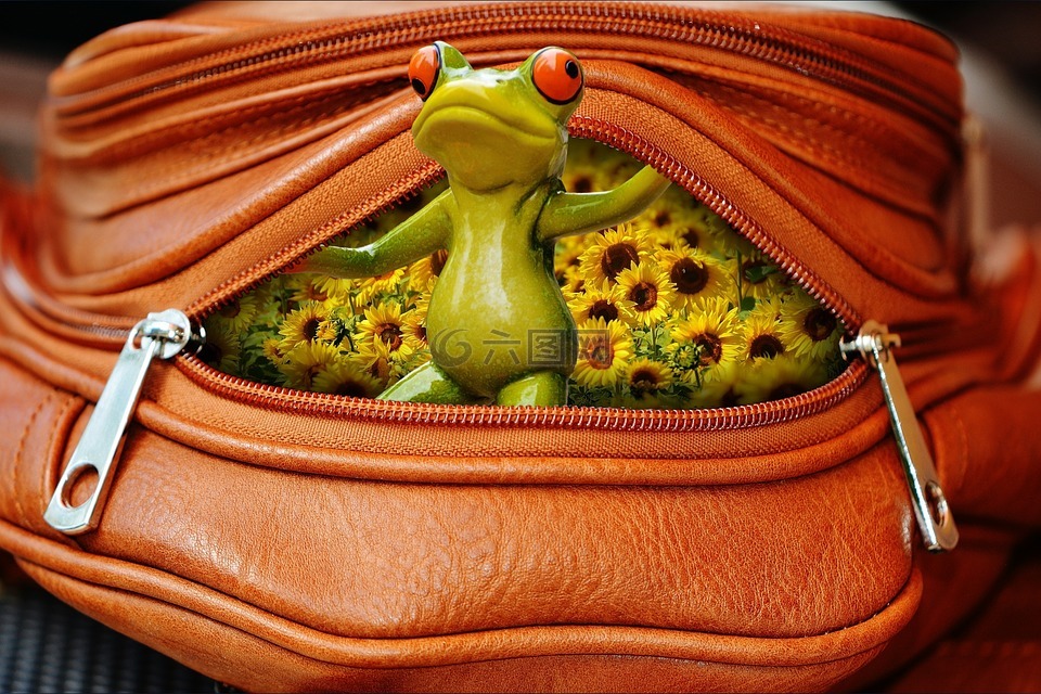 青蛙,袋,邮编