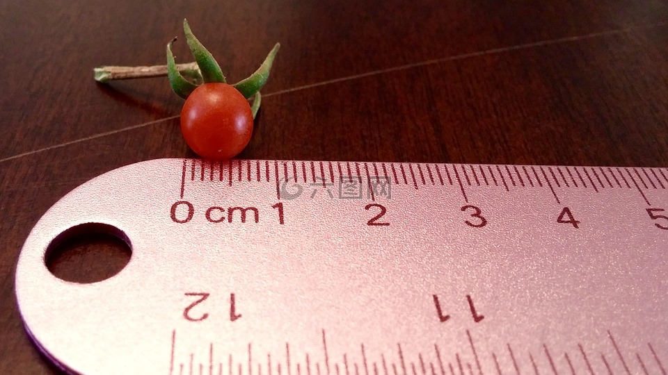 番茄,小,标尺