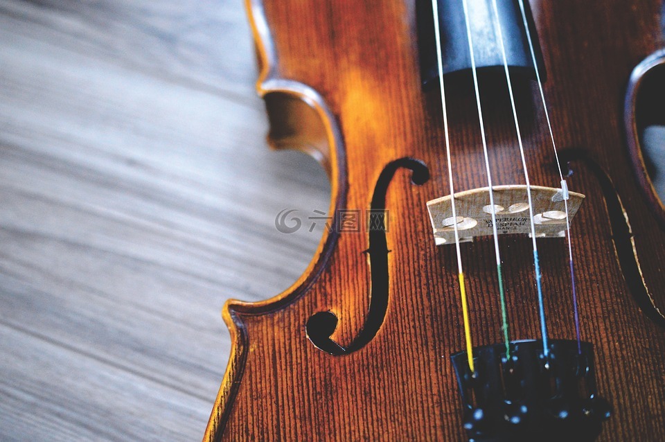 小提琴,音乐,仪器