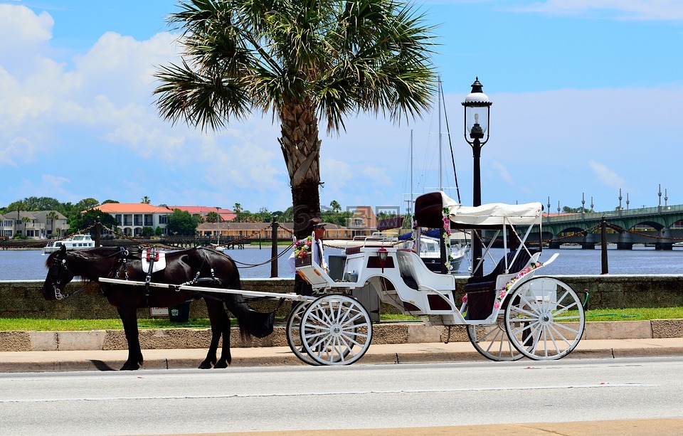 马和马车,圣奥古斯汀,佛罗里达