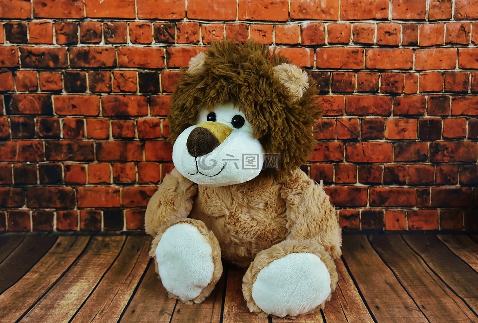 毛绒玩具,狮子,毛绒动物