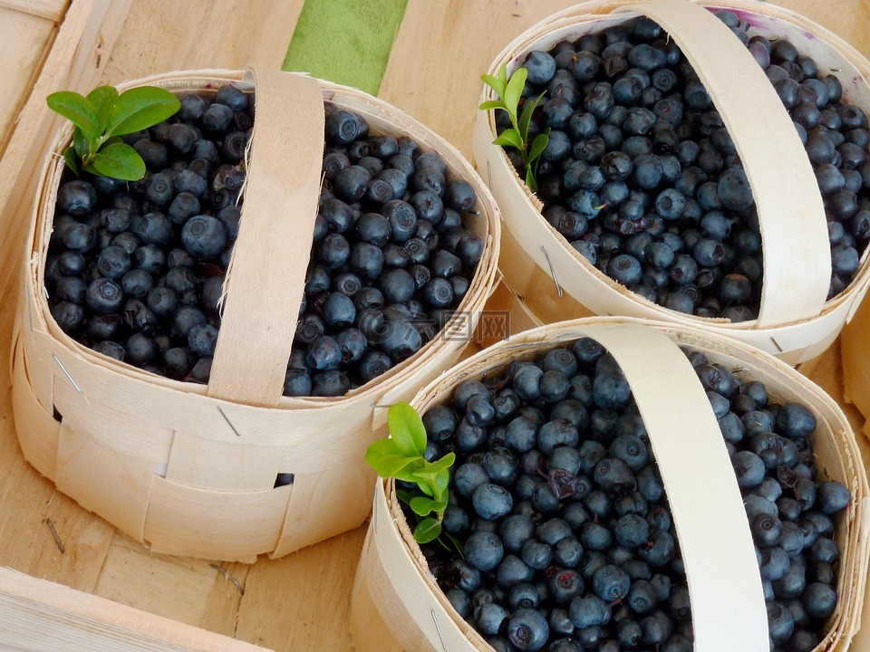 蓝莓,美味,水果