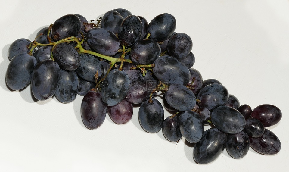 葡萄,浆果酒,穗