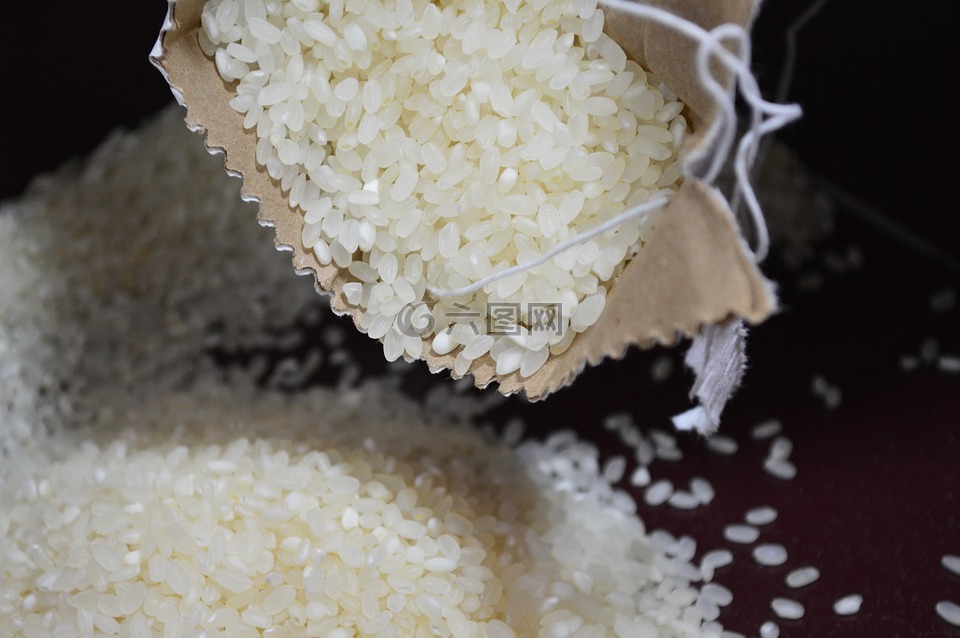 水稻,粮食,草种