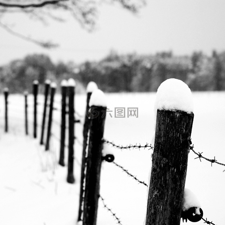 冬天,篱笆,sw