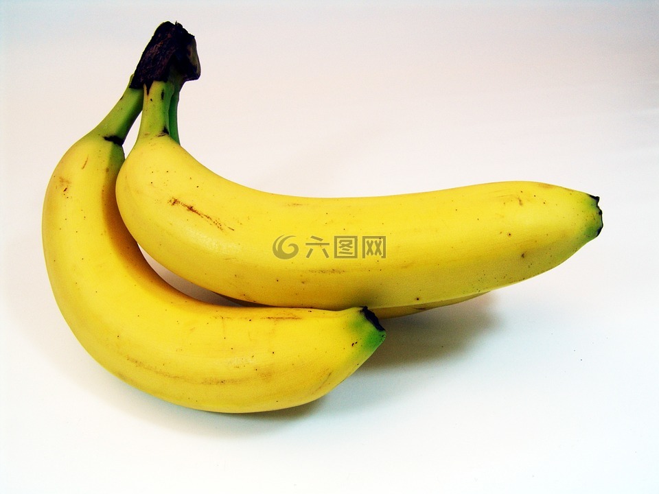 香蕉,水果,香蕉灌木