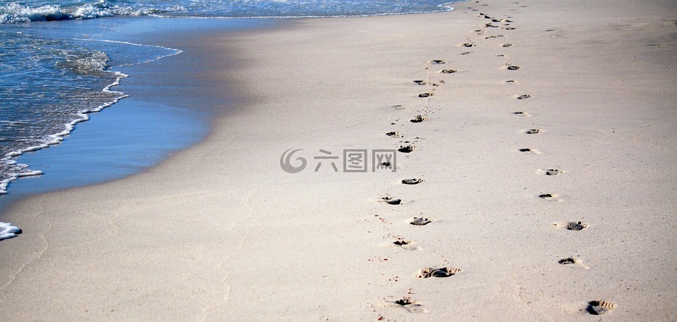 足迹,沙,海