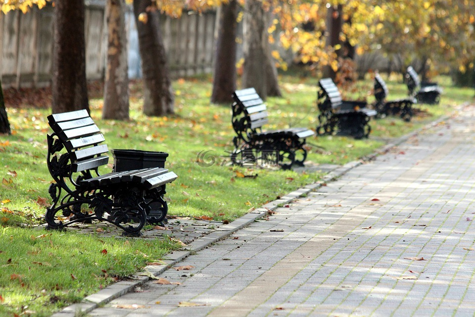 公园,长凳,秋季