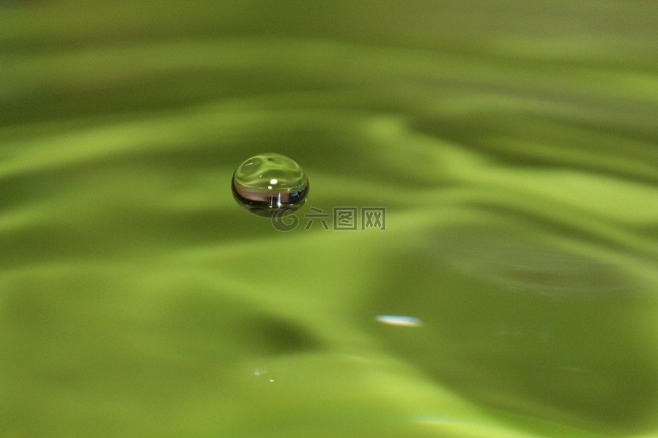 滴,液体,绿色