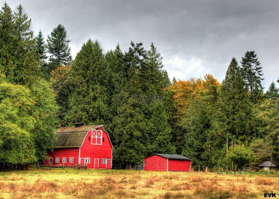 谷仓,红色,景观