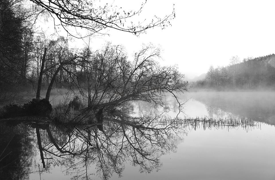 湖,雾,早晨