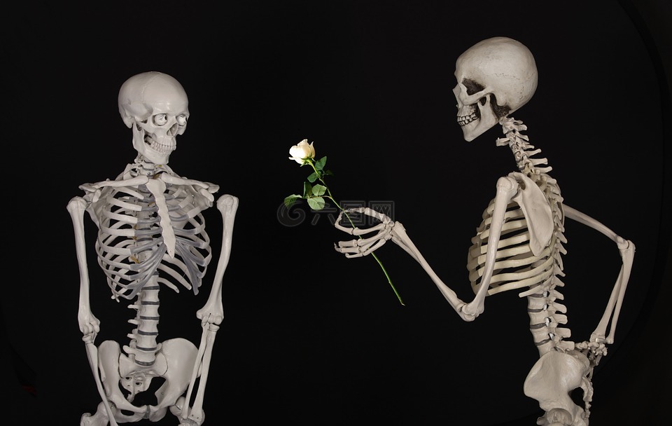 骨骼,花卉,祝贺